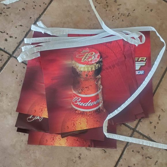 25 foot Dale Earnhardt Jr Rally Flag #8 Nascar Pennant Flag - Picture 2 of 3